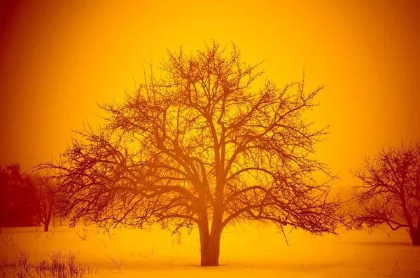 Paesaggio invernale — Foto Stock