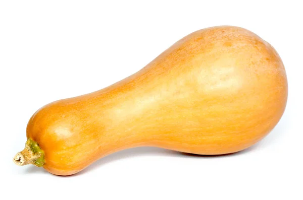 Pumpkin — Stock Photo, Image