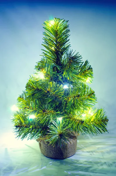 Christmas tree — Stock Photo, Image