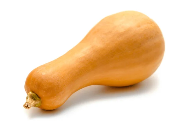 Pumpkin — Stock Photo, Image