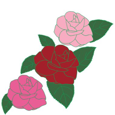 Kırmızı pembe Mor gül elle çizilmiş