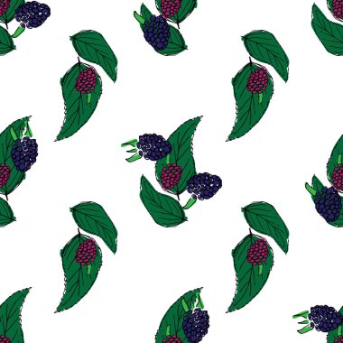 Böğürtlen el çizilmiş desen beyaz