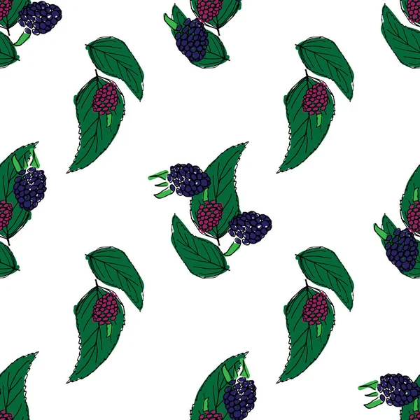 Böğürtlen el çizilmiş desen beyaz