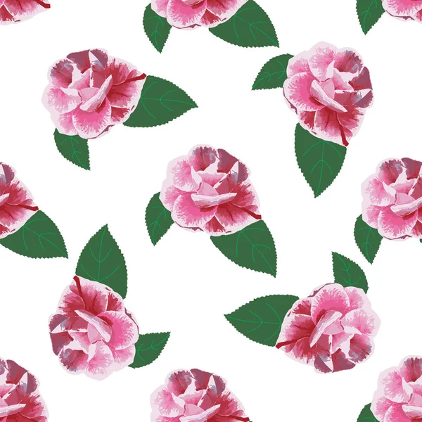 白玫瑰山茶花手绘制的模式 — 图库矢量图片