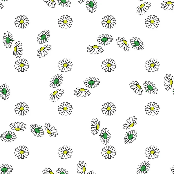 Daisy hand drawn pattern on white background . Vector illustration. — Stock Vector