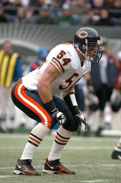 Brian Urlacher of Former Chicago Bears — Stock Photo, Image