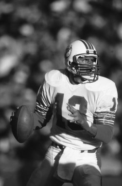 Dan Marino Miami Dolphins in.