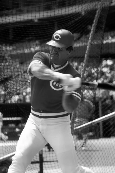 Pete Rose of the Cincinnati Reds in the batting cage. — Stock Photo, Image