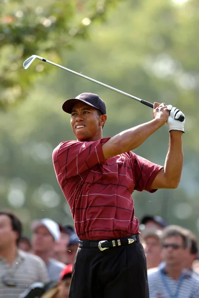 Tiger Woods nos Oen 2002 — Foto de Stock