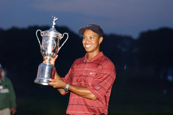 Tiger Woods bize Oen 2002