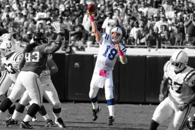 Payton Manning Indianopolis taylar