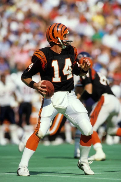 Ken Anderson Quarterback Für Die Cincinnati Bengals Spielaktion — Stockfoto