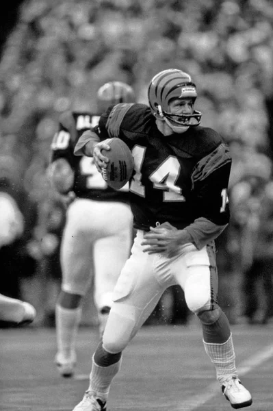 Ken Anderson Quarterback Pour Les Bengals Cincinnati — Photo