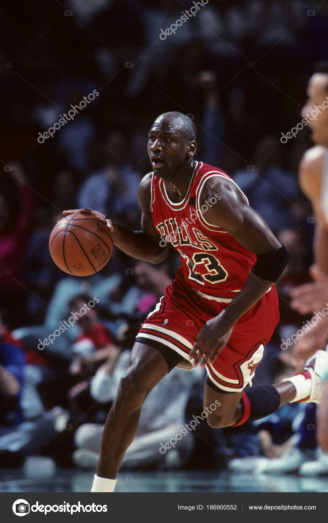Michael Jordan Hall Fame Player Chicago Bulls Stock Editorial Photo C Proshooter Michael Jordan Hall Fame Player Chicago Bulls Stock Editorial Photo C Proshooter