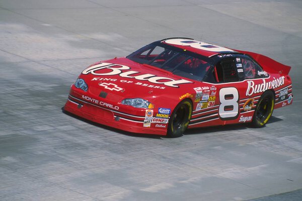 Dale Earnhardt Jr NASCAR Drive