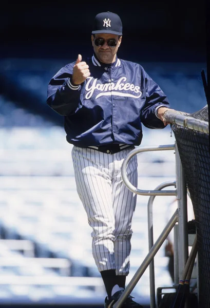Joe Torre Manager Pro New York Yankees — Stock fotografie