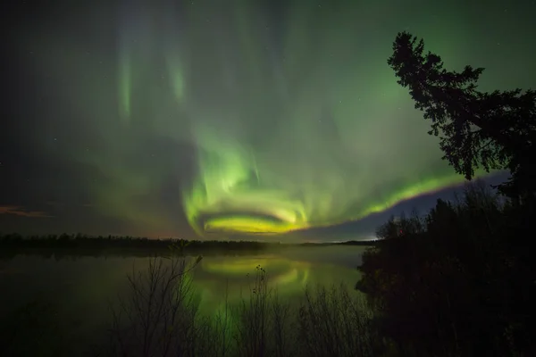 Az Aurora, az északi fény, a "pasori", a "aurora borealis — Stock Fotó