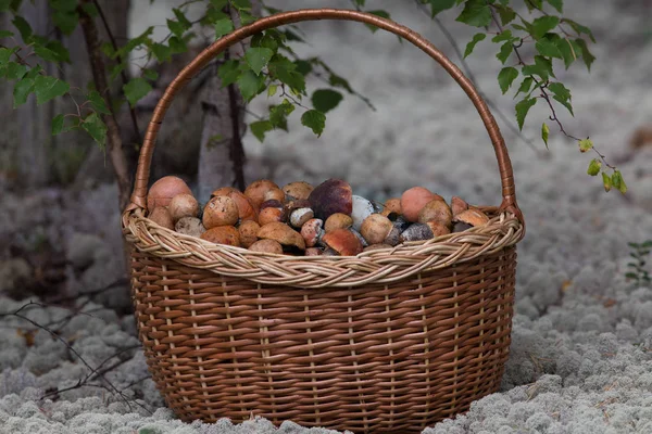 Sessiz avlama, mantar malzeme çekme