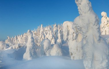 Kış, kış doğal fenomenler
