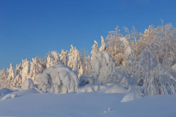 Kış, kış doğal fenomenler