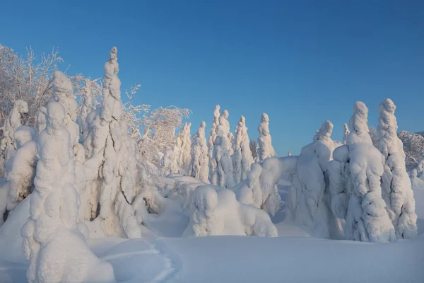 Winter, winter natural phenomena — Stock Photo, Image