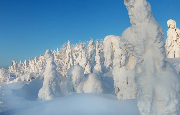Kış, kış doğal fenomenler