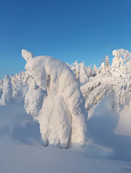 Kış, güzelliğin kuzey kenarı.