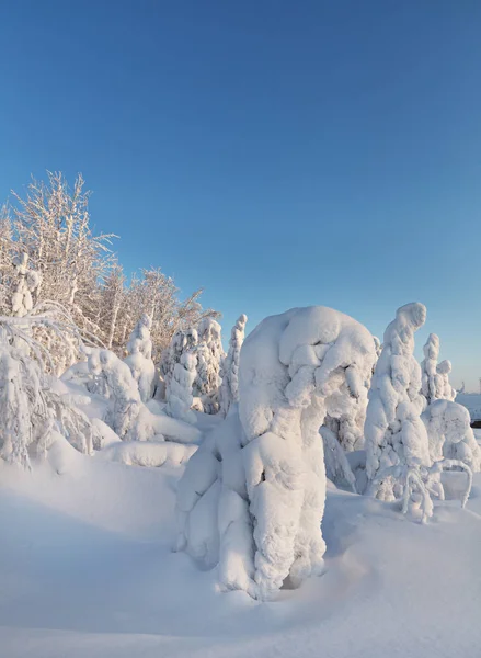 Winter, the northern edge of beauty — Stock Photo, Image