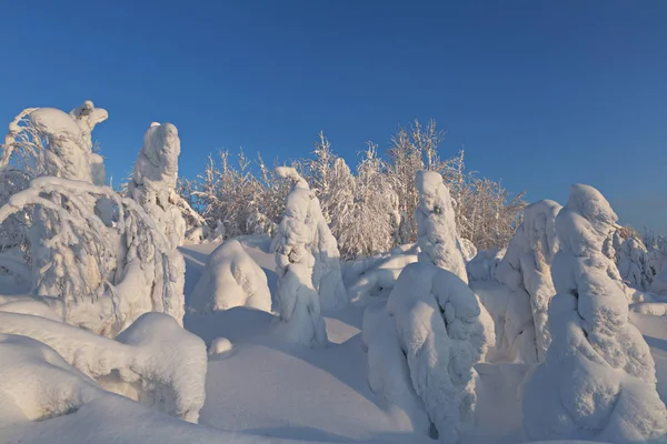 Kış, güzelliğin kuzey kenarı.
