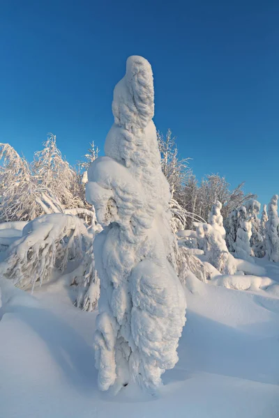 Winter, the northern edge of beauty — Stock Photo, Image