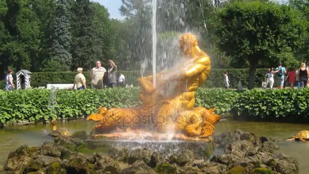 Hyperlapse 的彼得夏宫，圣彼得堡橘园喷泉 — 图库视频影像
