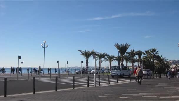 Pedestrian crossing and palm trees in Nice, France — Stock Video