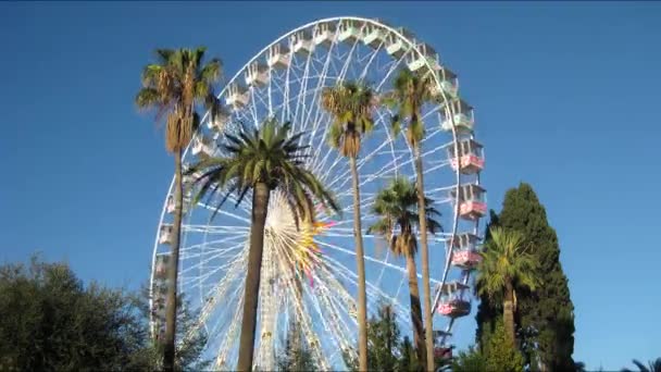 Ferris e palmeiras contra o céu em Nice — Vídeo de Stock