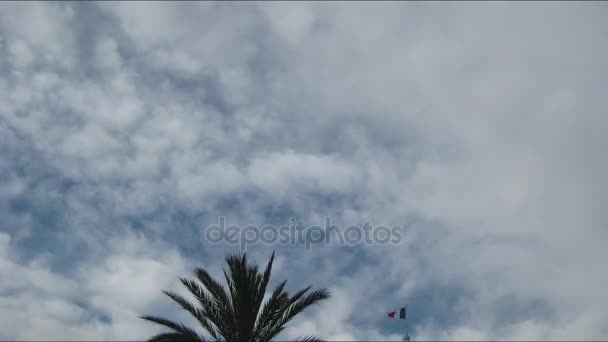 Bandeira francesa contra o céu nublado — Vídeo de Stock