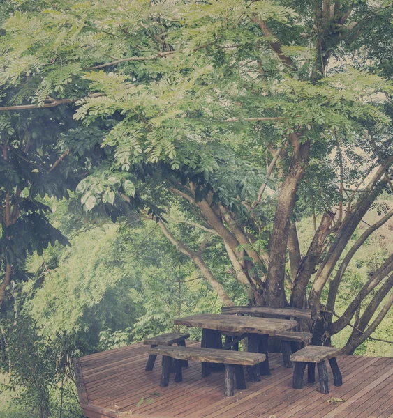 Деревянный стол и стул под деревом — стоковое фото