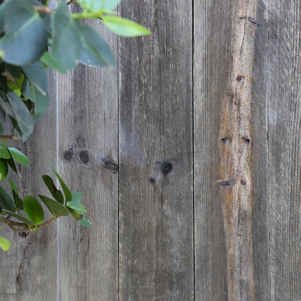 Wall wood board texture — Stock Photo, Image