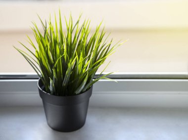 Yapay plastik çiçek vazo