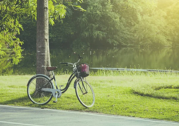 Zwarte fiets in park — Stockfoto