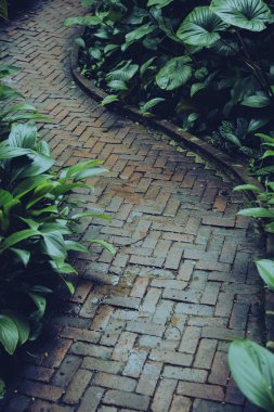 Bahçedeki taş yol