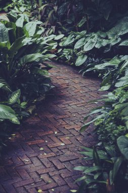 Bahçedeki taş yol