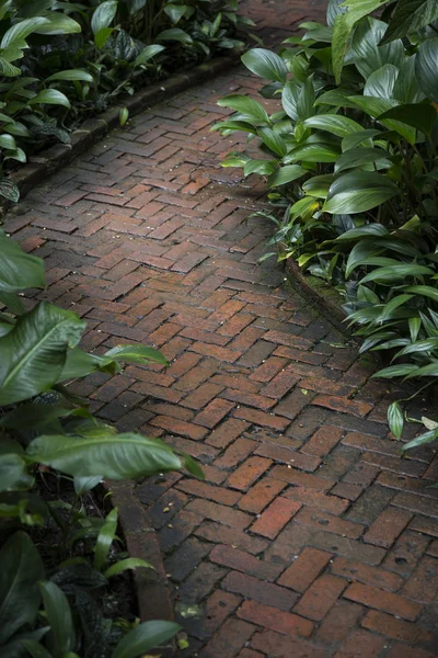 Caminho de pedra no jardim — Fotografia de Stock