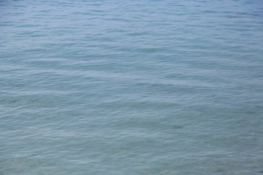 Tropikal denizde su dalgası