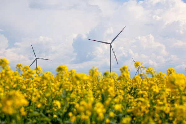 Windkraftanlagen auf gelbem Rapsfeld Stockbild