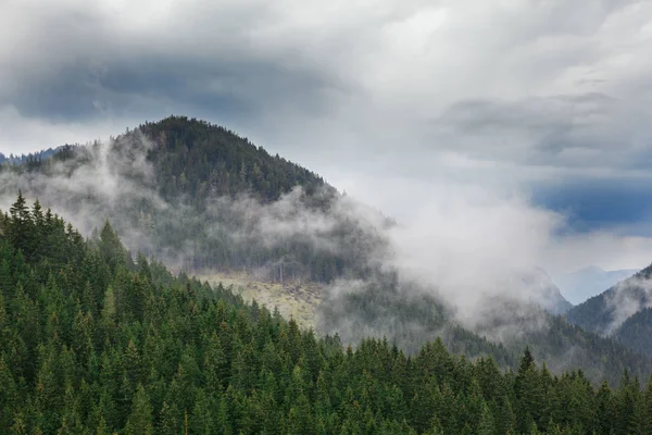 Encosta de montanha arborizada em nuvens com coníferas perenes envoltas em névoa. Vista panorâmica da paisagem. Eslováquia, Nizke Tatry — Fotografia de Stock