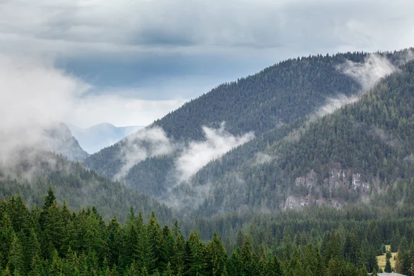 Encosta de montanha arborizada em nuvens com coníferas perenes envoltas em névoa. Vista panorâmica da paisagem. Eslováquia, Nizke Tatry — Fotografia de Stock