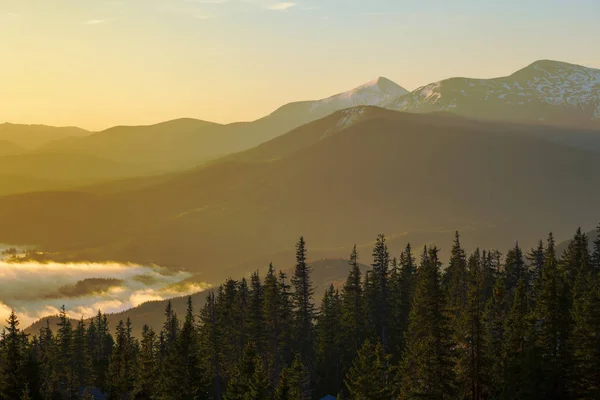 Amanecer brumoso en las montañas Cárpatos. Ucrania Imagen De Stock