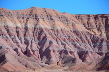 Boyalı çöl Arizona, ABD