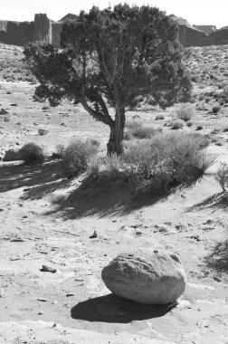 Anıt Vadisi kabile Parkı Utah, ABD