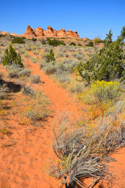 Νότια Coyote Buttes Trail Στην Αριζόνα Usa — Φωτογραφία Αρχείου