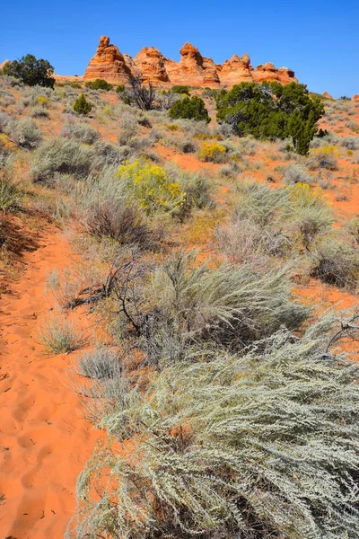Arizona Güney Coyote Buttes Yolu Usa — Stok fotoğraf